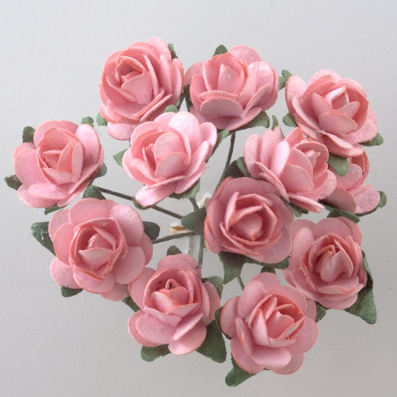Pink Paper Tea Roses
