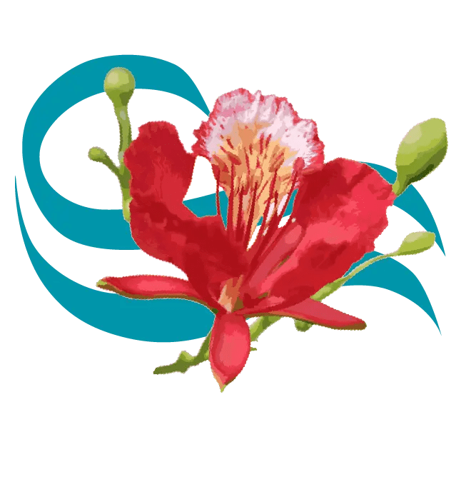 50 gambar flamboyan pohon gratis pixabay. Coconut Post Author At Flamboyan On The Bay