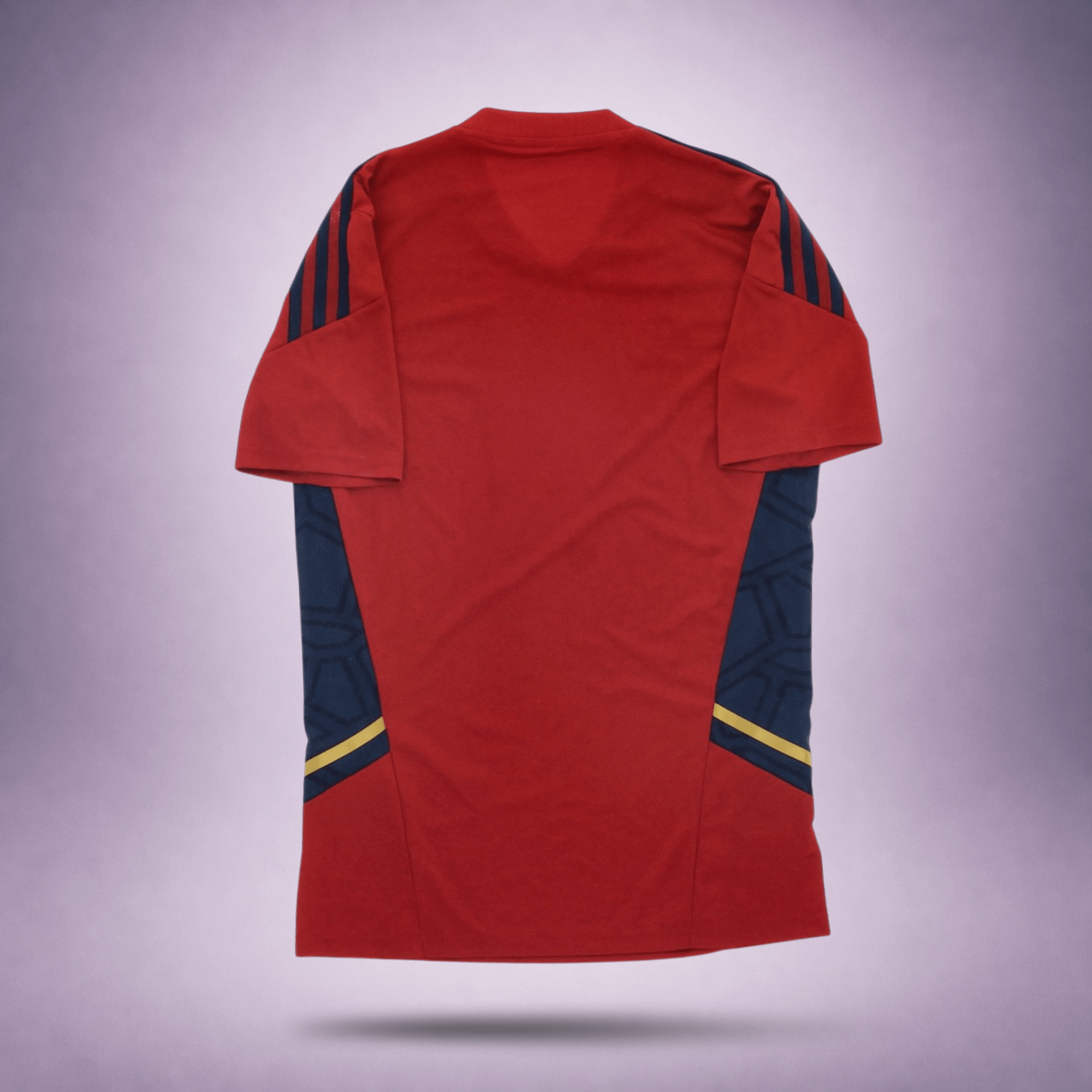 Ajax Amsterdam Trainingsshirt 2022/2023