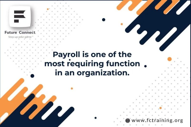 Payroll Courses For Beginners Pdf - Download Modern Nature Pattern | High Resolution
