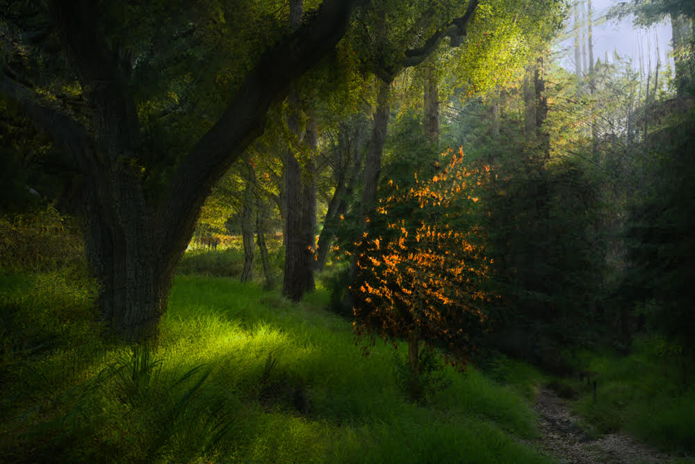 Lev L. Spiro Photographs the Places Where the World Feels Thin
