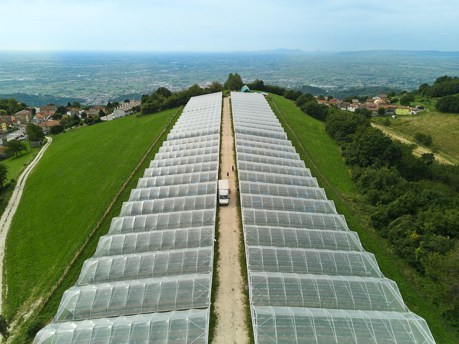 Fedeluct - azienda costruzione serre e strutture