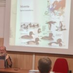MARCHE: SVOLTO DALL’ ATC MC 2 IL PRIMO CORSO DI FORMAZIONE PER LA CACCIA ALLA MORETTA NEL TERRITORIO REGIONALE
