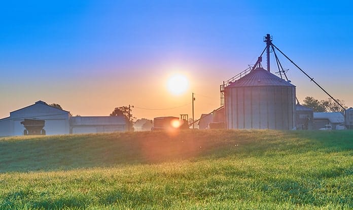 Global Feed Processing Market and Trends - Feed & Additive Magazine (2026)