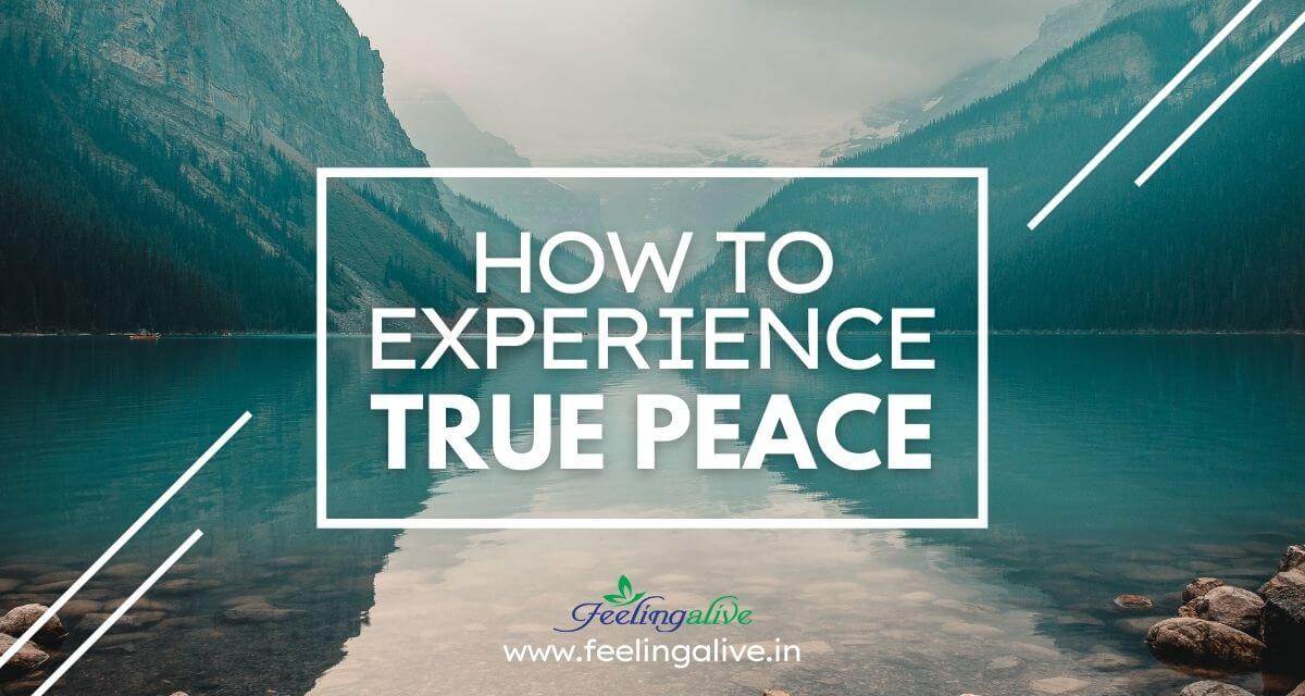 How To Experience True Peace Feeling Alive Peace How To Experience True Peace Feeling Alive Peace
