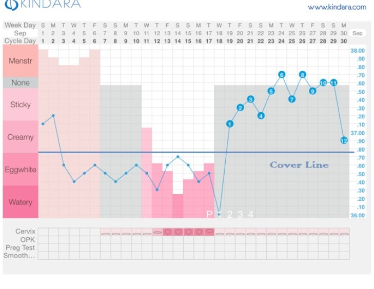 ovulation cover line