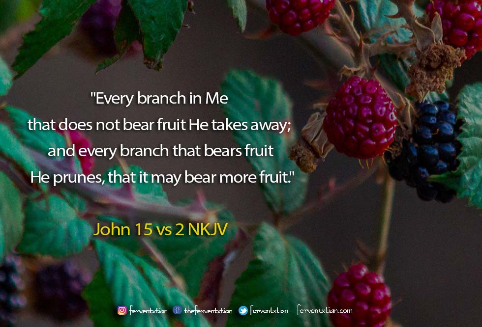 The Light Daily Devotional –  Be Productive