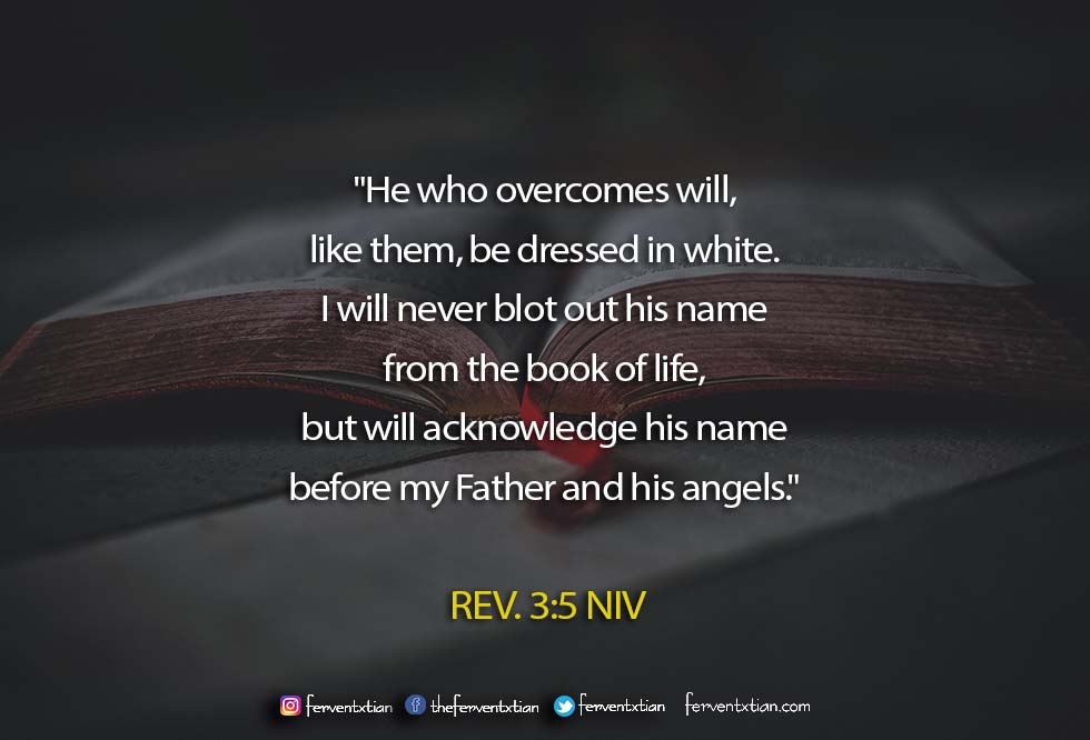 The Light Daily Devotional – The Book of Life