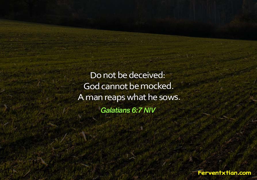 The Light Daily Devotional – God Cannot be Mocked