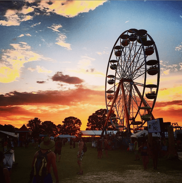 bonnaroo2