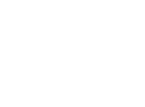 fetching dogs sydney act dog adoption and fostering on pets come first raffle