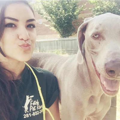 layer 1 - fetch pet resort on fetch pet resort atascocita