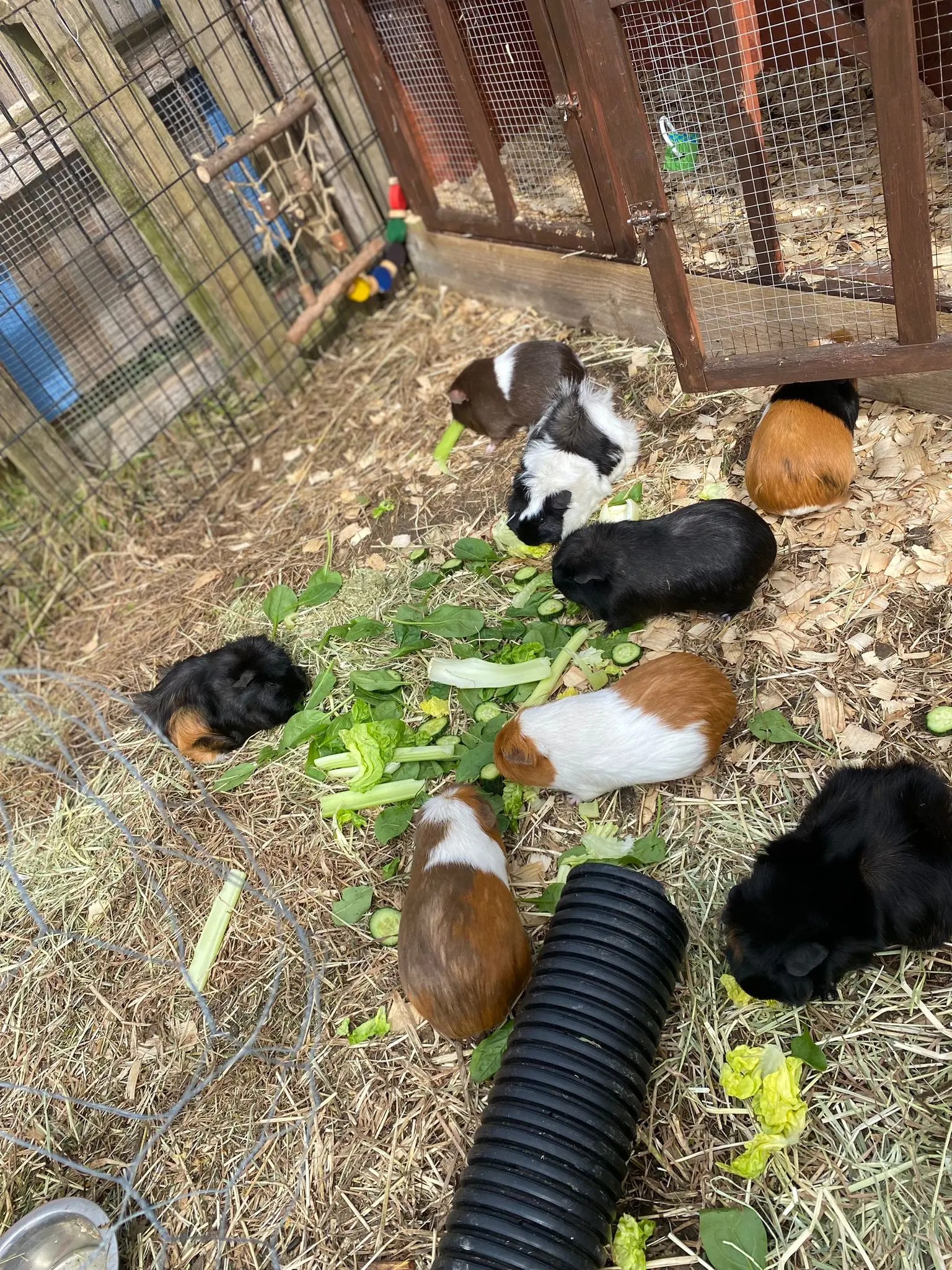 Resources | Field of Dreams