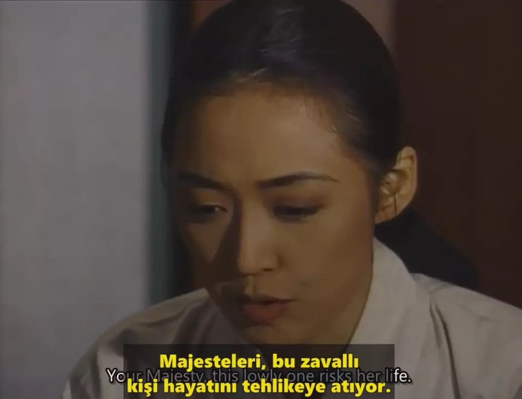 Jang Hee Bin 1995 Türkçe Altyazılı İzle - Kore Dizileri