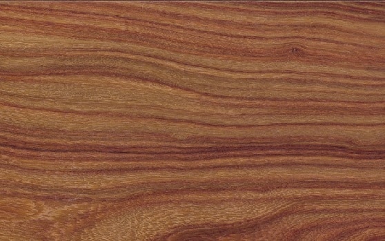 If you're just starting out, answering that question can be tricky. Pau Rosa - Fijnhout