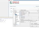 Oracle Sql Developer 24 3 1 Database Management Tools Fileeagle