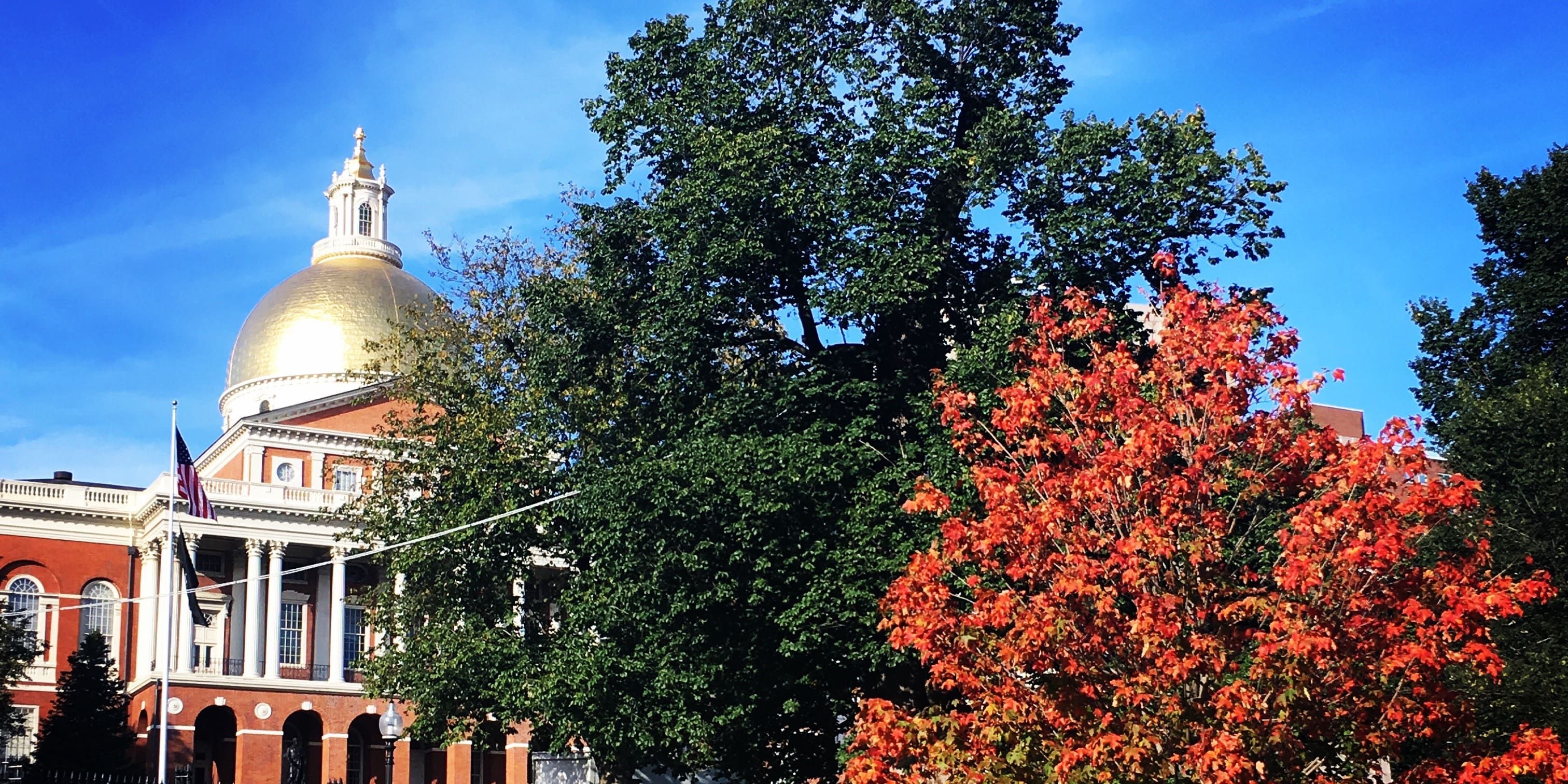 You can schedule a guided tour of the freedom trail. Walking Tour Of Boston S Freedom Trail History In Boston Book Tours Activities At Peek Com