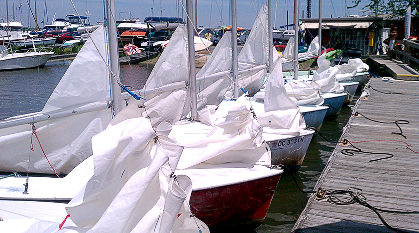 Potomac River Sunfish Rental In Washington D C Book Tours