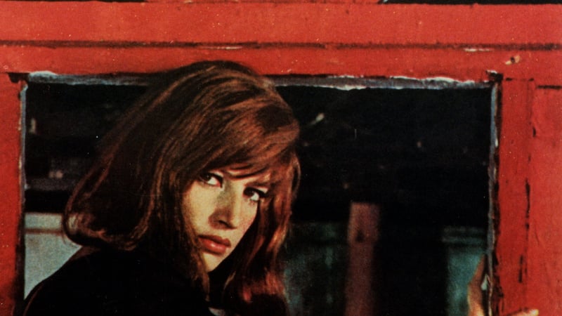 Red Desert Rotten Tomatoes - Sunset Image Collection - Full HD Quality