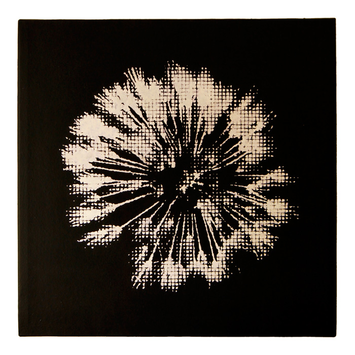 dgr01 - Acrylic on canvas - 56,5 x 56,5 cm