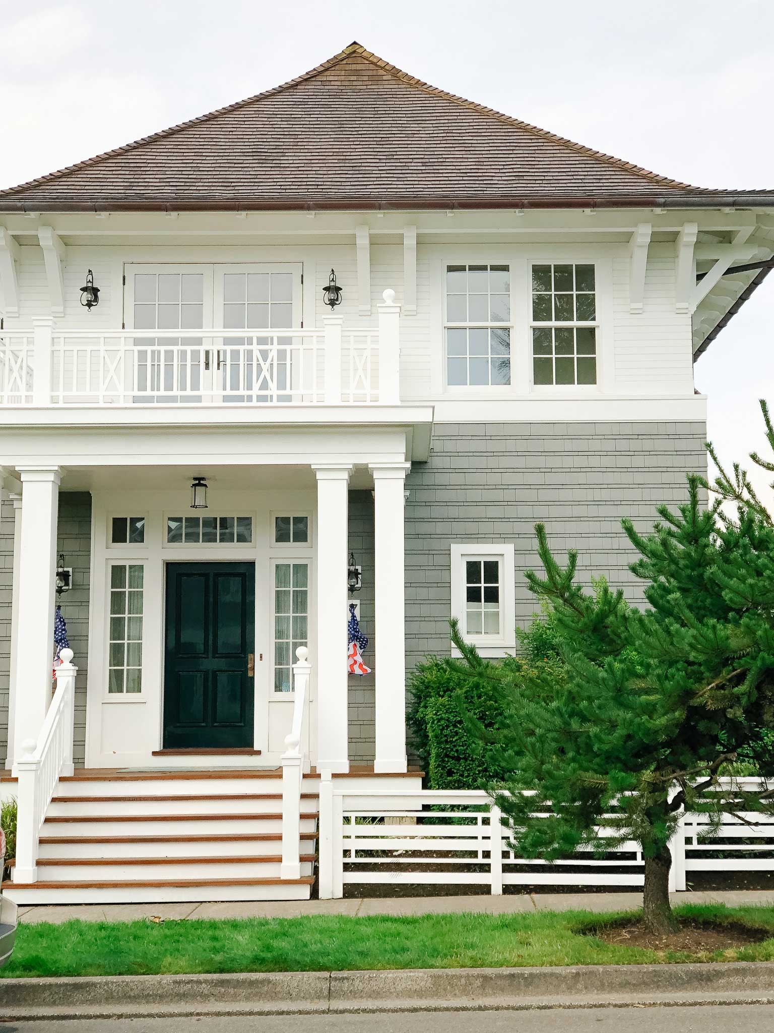 Wild maine blueberry pie