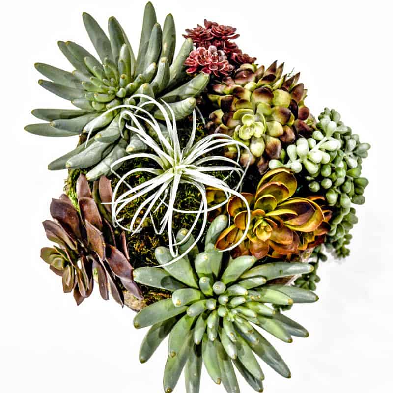 We tapped into the shearling trend with diy oversized wall art. How To Make Faux Succulent Arrangements That Look Incredibly Real