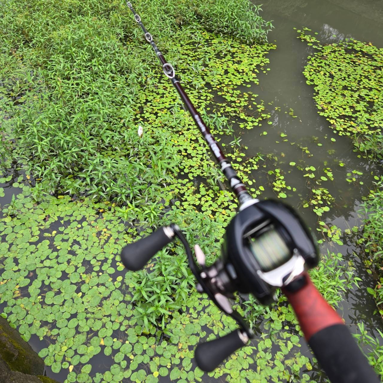 Fishman発】超攻撃的ヘビー×ベリーショートマルチピースロッド「BC4