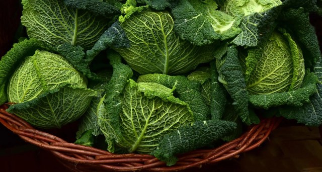 Cabbage - 17kcal/cup
