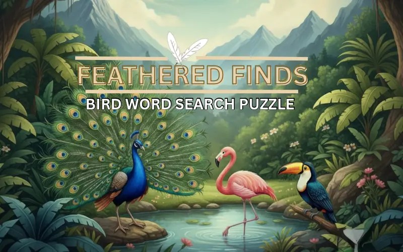 Word search puzzle