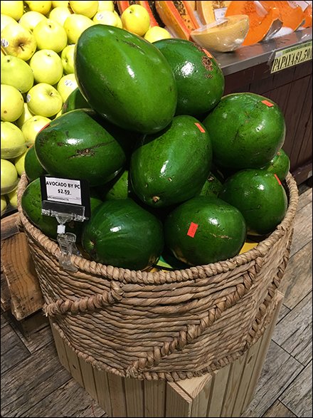 avocado-rope-coil-produce-basketry-3