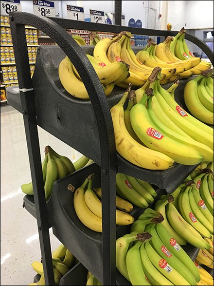 Curved Banana Rack Cradles Fruit Front and Back