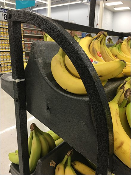 Curved Banana Rack Cradles Fruit Front and Back