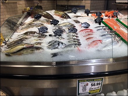 Fish Silhouette Signs for Iced Fresh Fish Offerings