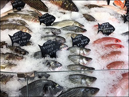 Fish Silhouette Signs for Iced Fresh Fish Offerings