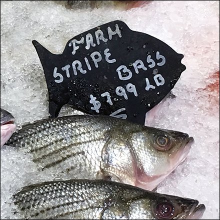 gourmanoff-iced-fish-labels-feauture