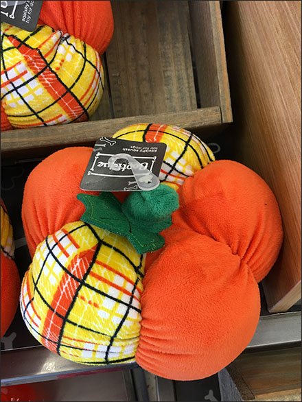 plush-fall-pumpkins-3