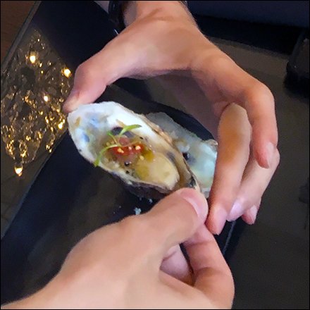 Ritz Carlton Hotel Happy Hour Oysters $1.50