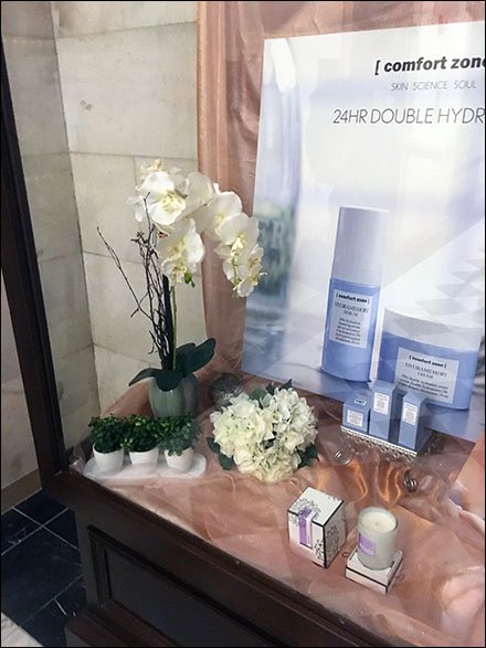 ritz-carlton-richel-dambra-spa-museum-case-2
