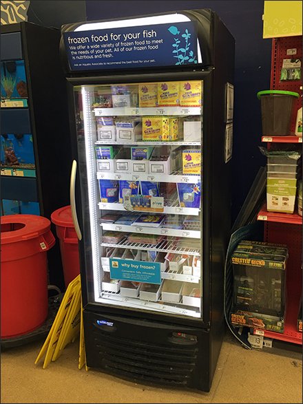Why Buy Frozen Fish Food For Your Fish?