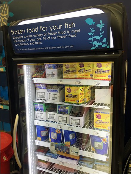 frozen-fish-food-2