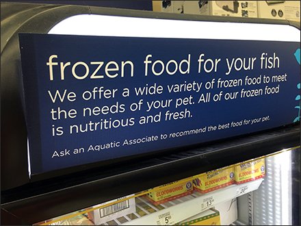 Why Buy Frozen Fish Food For Your Fish?
