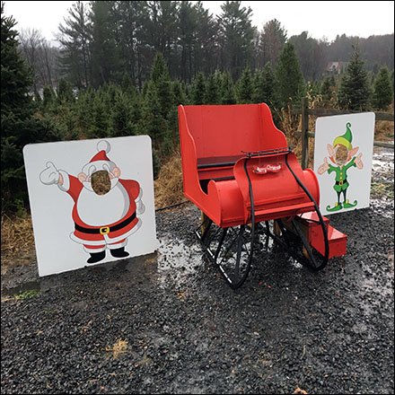 Tree Farm Photo Opportunities for Christmas