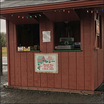 helen-eds-tree-farm-service-counter-2