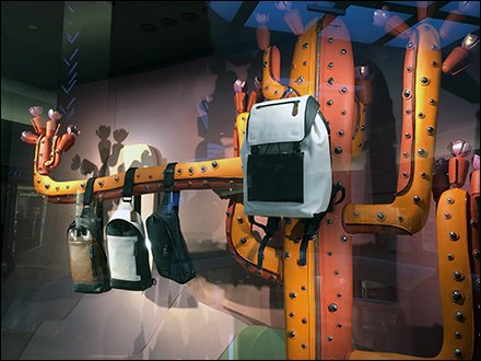 Coach Leather Cactus Window Dressing Deployment