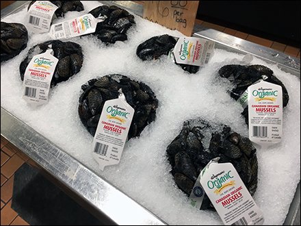 Hand Lettered Shingle Organic Canadian Mussels Iced 2