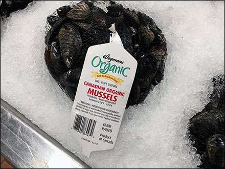 Hand Lettered Shingle Organic Canadian Mussels Iced 3