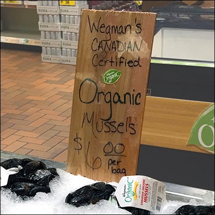 Canadian-Certified Organic Hand-Lettered Mussels