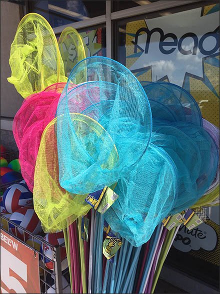 Butterfly Nets By The Branded Barrel-full