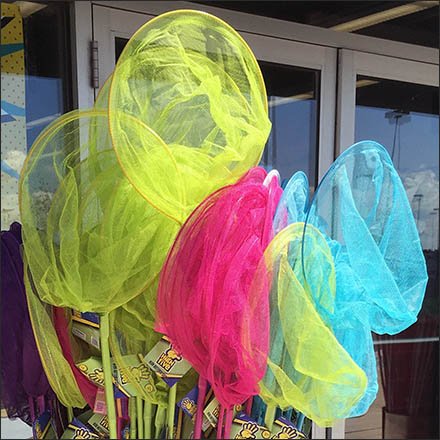Butterfly Net Feature 1