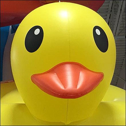 Fishing Line Flying Swim Inflatables Feature1